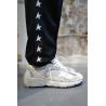 Baskets Dad-Star Femme - Blanc / Argent - GOLDEN GOOSE