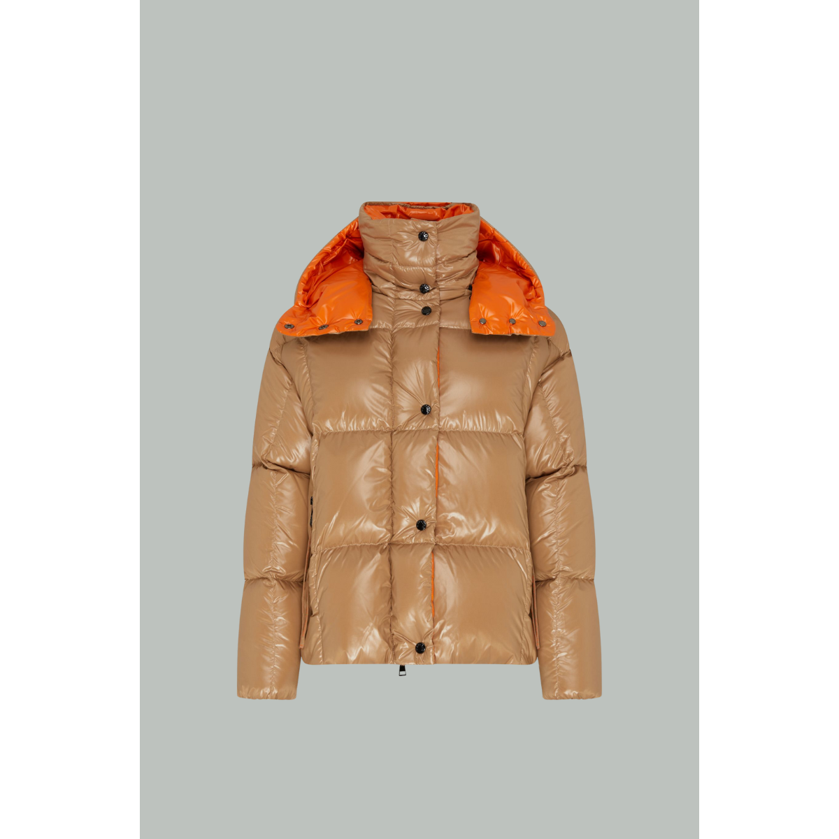 Doudoune courte à capuche Parana - Marron - MONCLER
